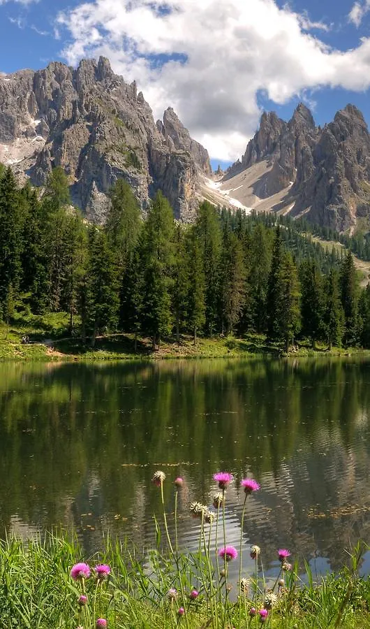 Hotel Il Cardo San Vito di Cadore